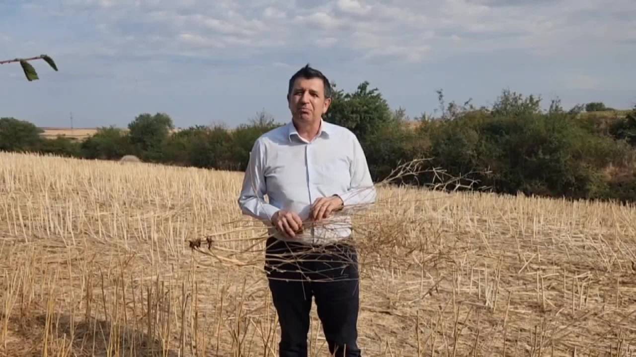 Okan Gaytancıoğlu: “Üretici Kanola Ekmekten Vazgeçti”