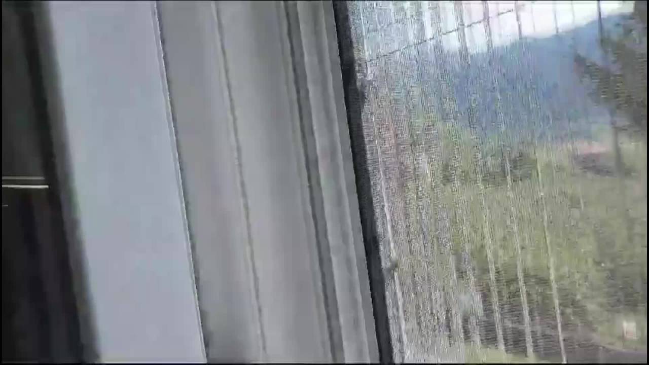 Mustafa Adıgüzel: "Kahverengi Kokarca Böceği Nedeniyle Fındık Üreticisinin Kilo Başına 6 Lira Zararı Var"