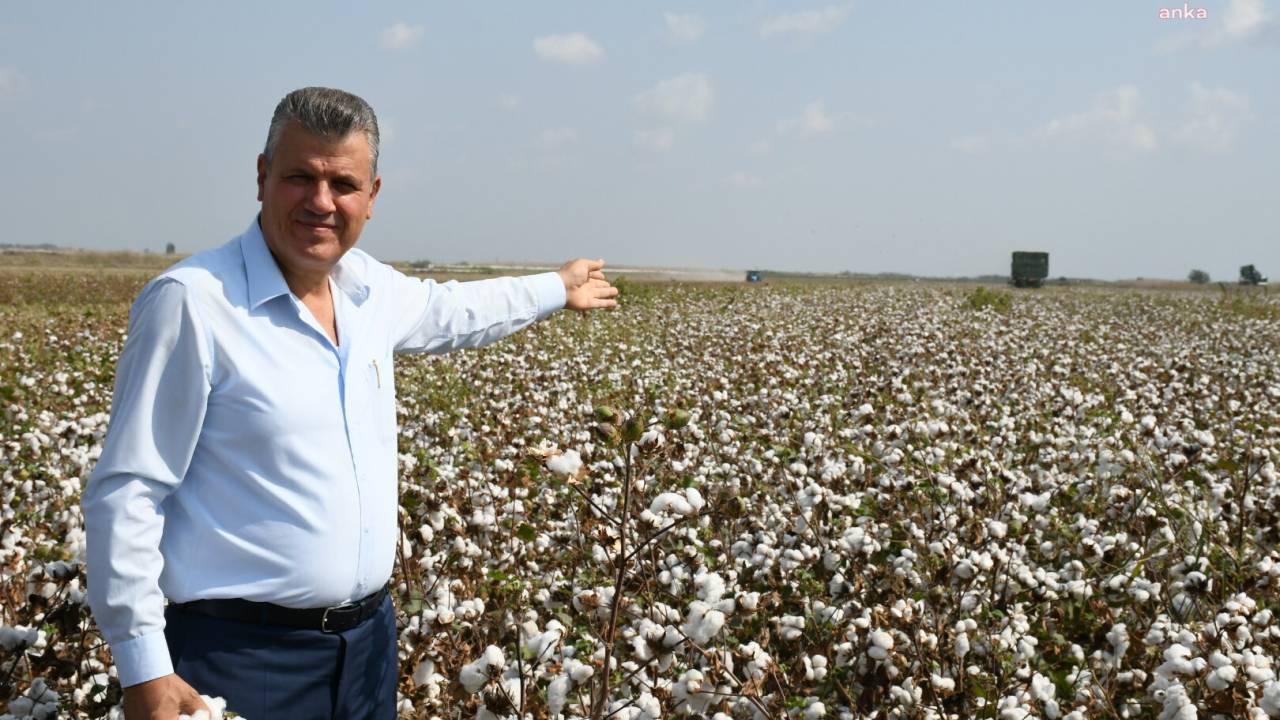 Ayhan Barut’tan Pamuk Fiyatı Tepkisi: "Bu Rezalete Son Verin.. Üreticinin Ocağını Söndürmeyin"
