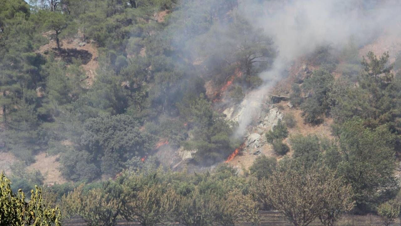 Çanakkale'de Orman Yangını (2)