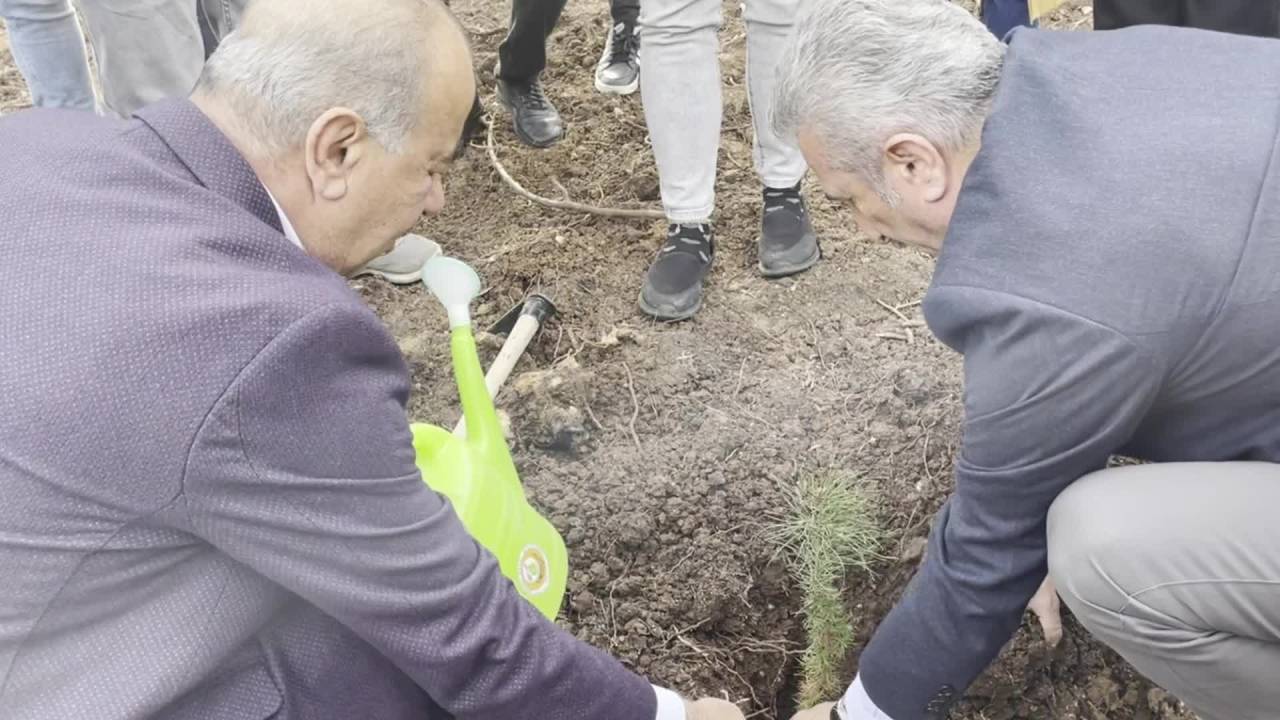 Chp Bursa İl Örgütü Bursa’da Eylül Ayında Yanan Göynüklü’de Fidan Dikti