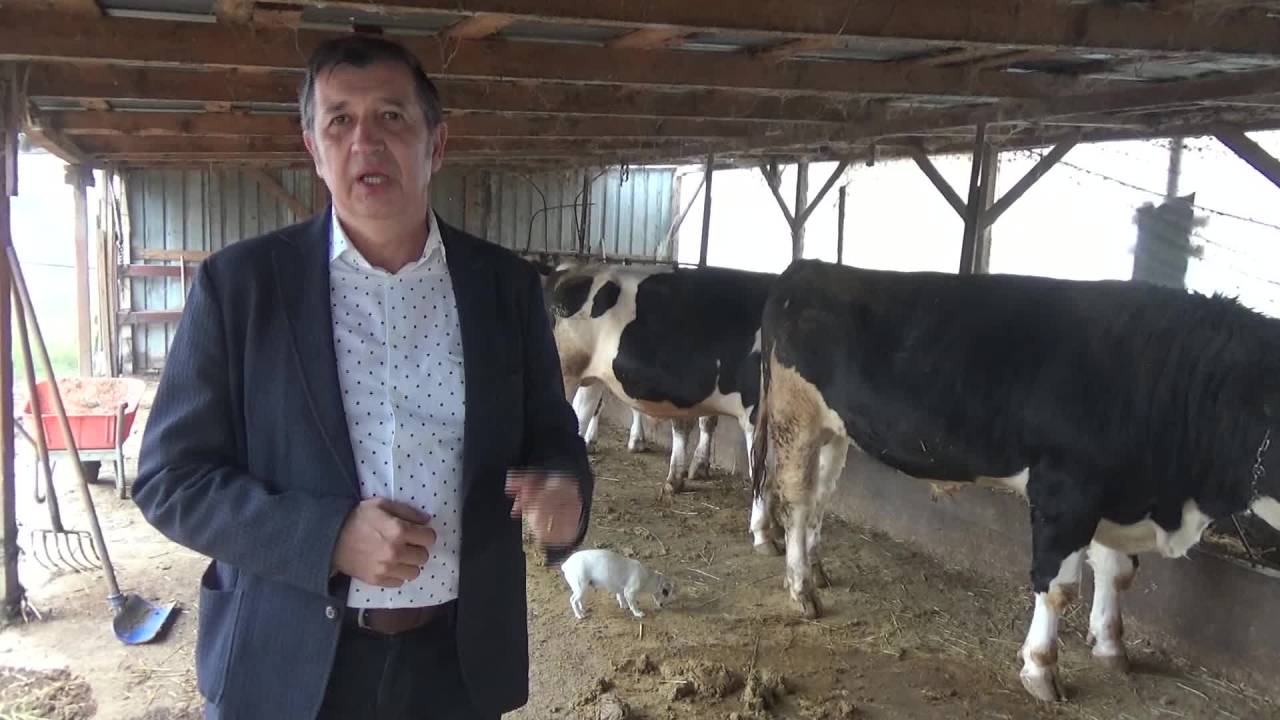 Okan Gaytancıoğlu: “Süte Zam Asılsız Çıktı”