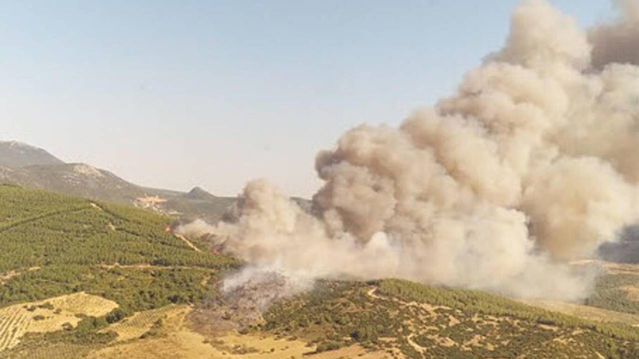 Manisa'da Orman Yangını