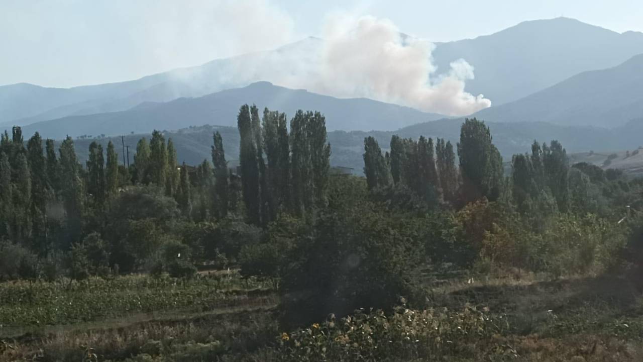 Kütahya'da Orman Yangını