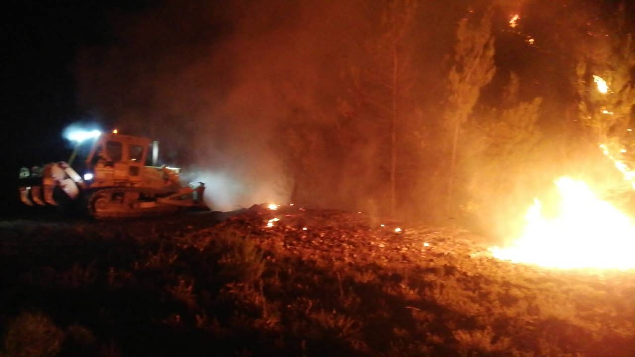 Manisa’da Orman Yangını (3)