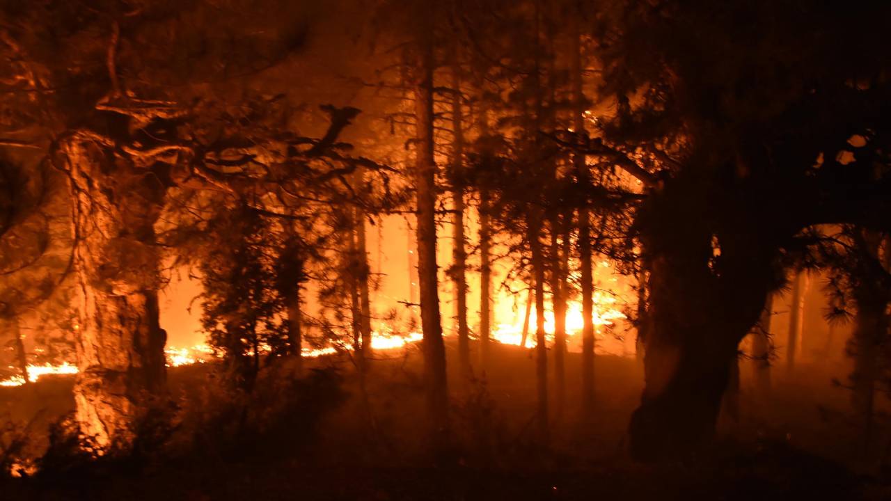 Kütahya'da Orman Yangını (3)