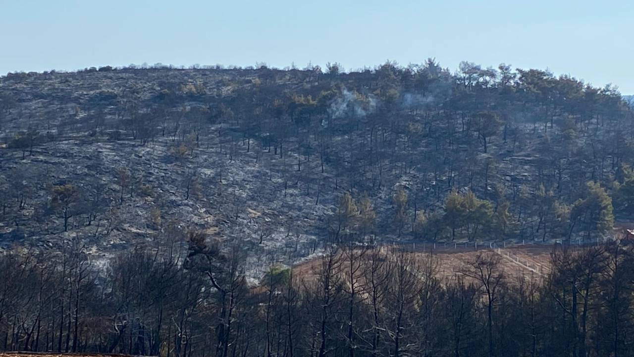 Manisa'daki Orman Yangını 13,5 Saat Sonra Kontrol Altında