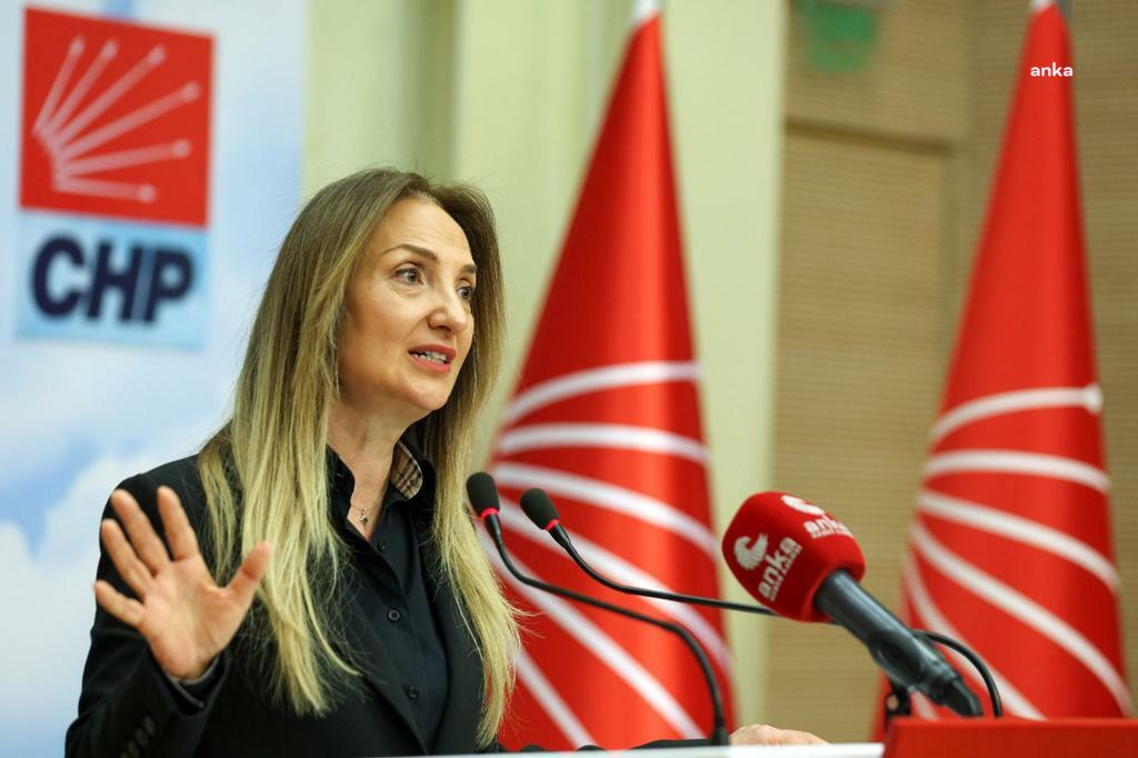 Aylin Nazlıaka: "Demokrasiyi Katleden Bu Zihniyeti Tarihin Çöplüğüne Göndereceğiz"