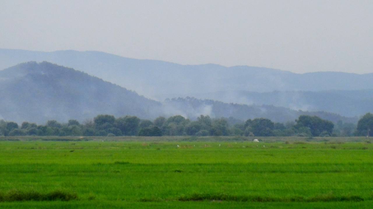 Yunanistan'daki Orman Yangını, Türkiye Sınırından Görülmeye Başlandı