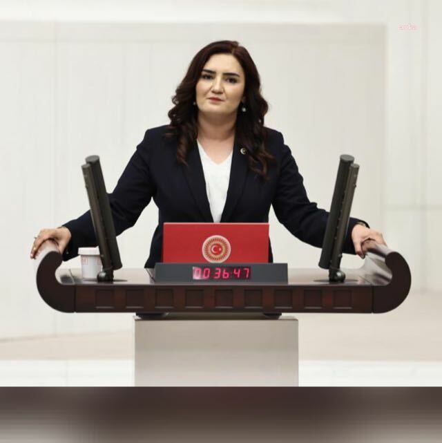 Sevda Erdan Kılıç: "çedes Denen Bu Garabet Artık Laik Cumhuriyet’e Karşı Bir Başkaldırıya Dönüşmüştür”