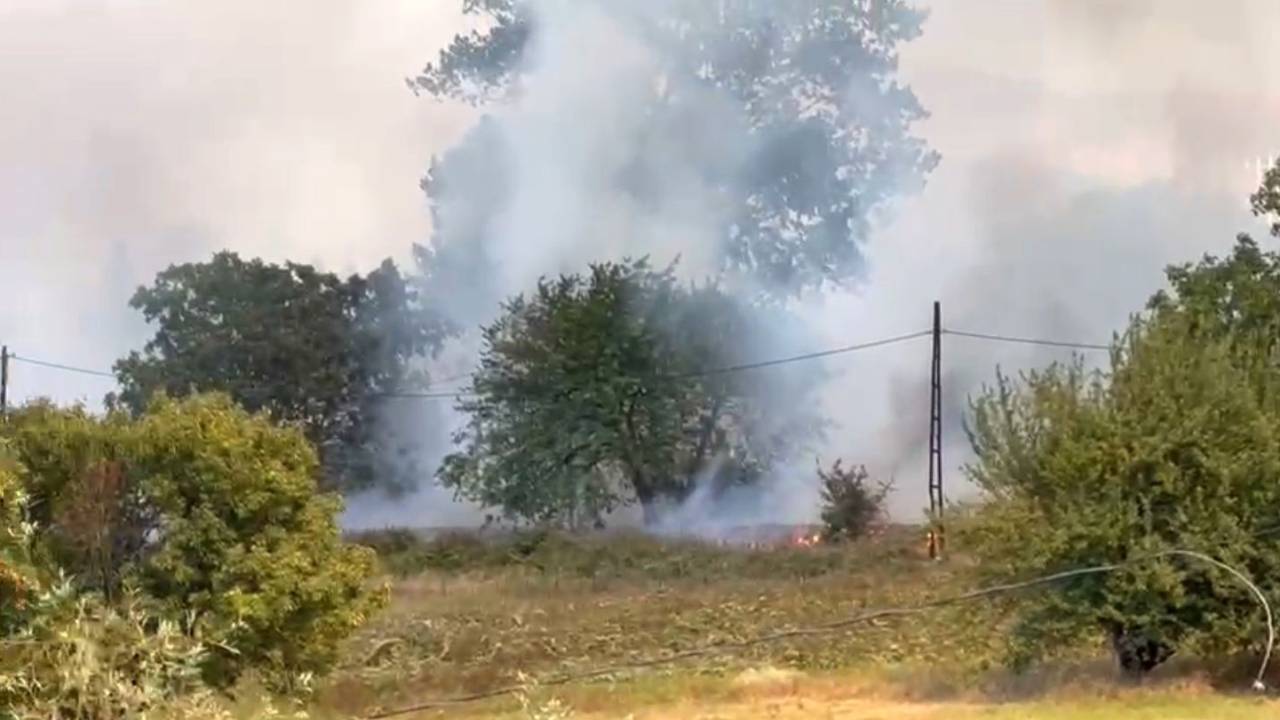 Anız Yangını Kampüsteki Ormana Sıçradı