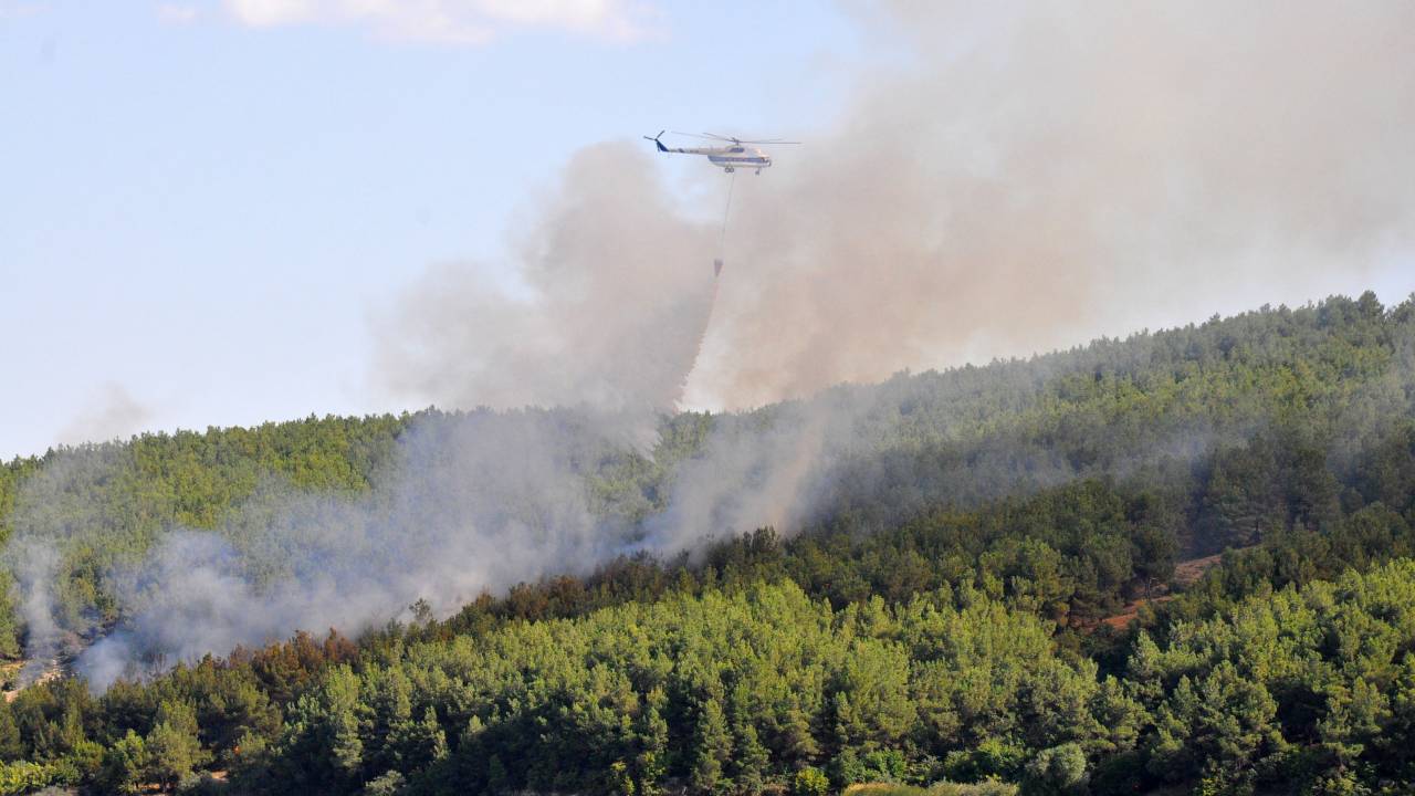 Edirne'de Çıkan Orman Yangını Söndürüldü