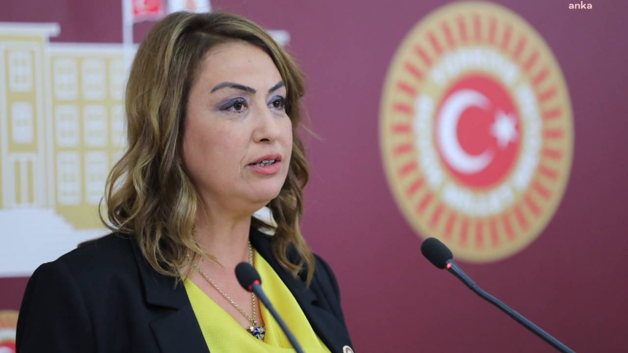Chp'Li Nermin Yıldırım Kara:  ''mülkiyet Hakkının İhlal Edildiğine Dair Kuşkularımız Var''