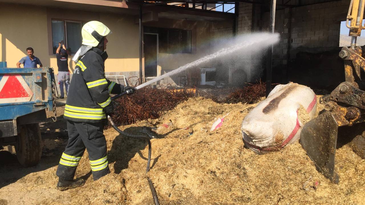Alaşehir'deki Ahır Yangınında 1 İnek Ve 10 Koyun Öldü