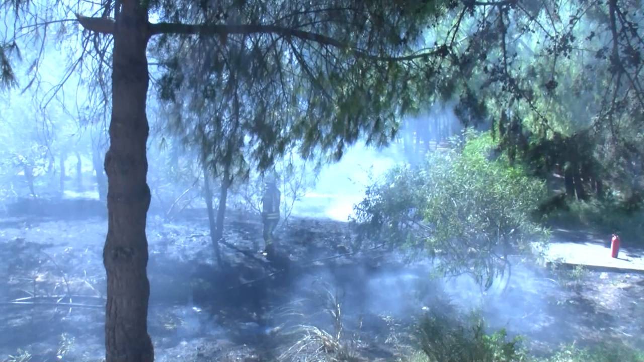 Bakırköy'de Hastane Bahçesinde Yangın Çıktı