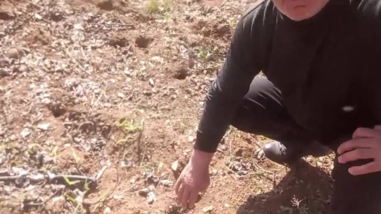 Ömer Fethi Gürer: Tarlaları Fareler Bastı