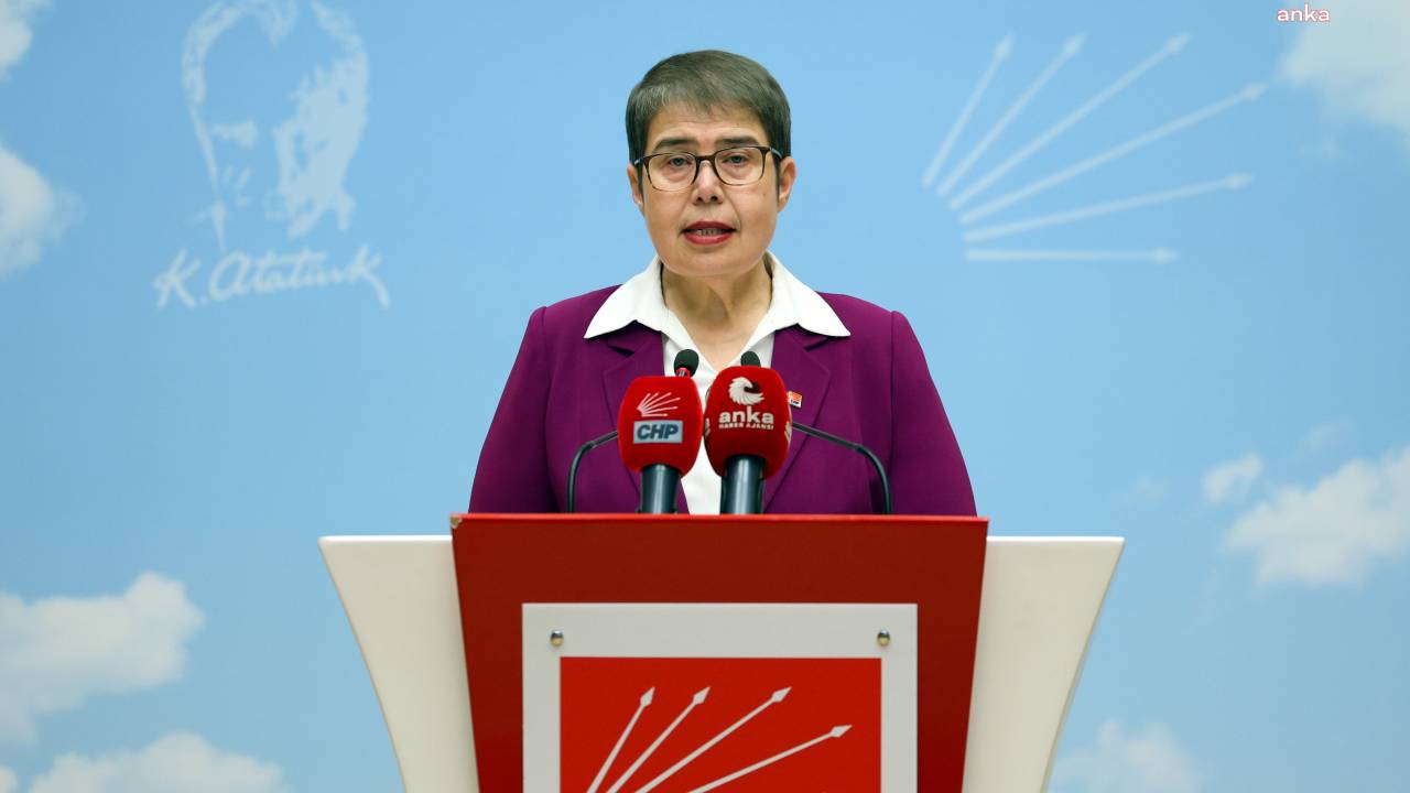 Zeliha Aksaz Şahbaz: Siyasi İktidar Sağlıkta Şiddetin Mimarıdır