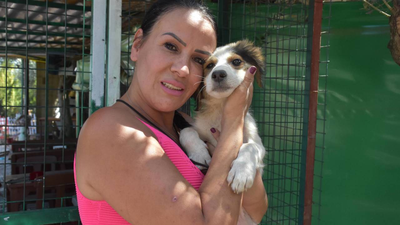 Kurtarılmış Çiftlik Hayvanları Barınağı'na Yangın Ve Sel Bölgesinden 58 Can Dostu