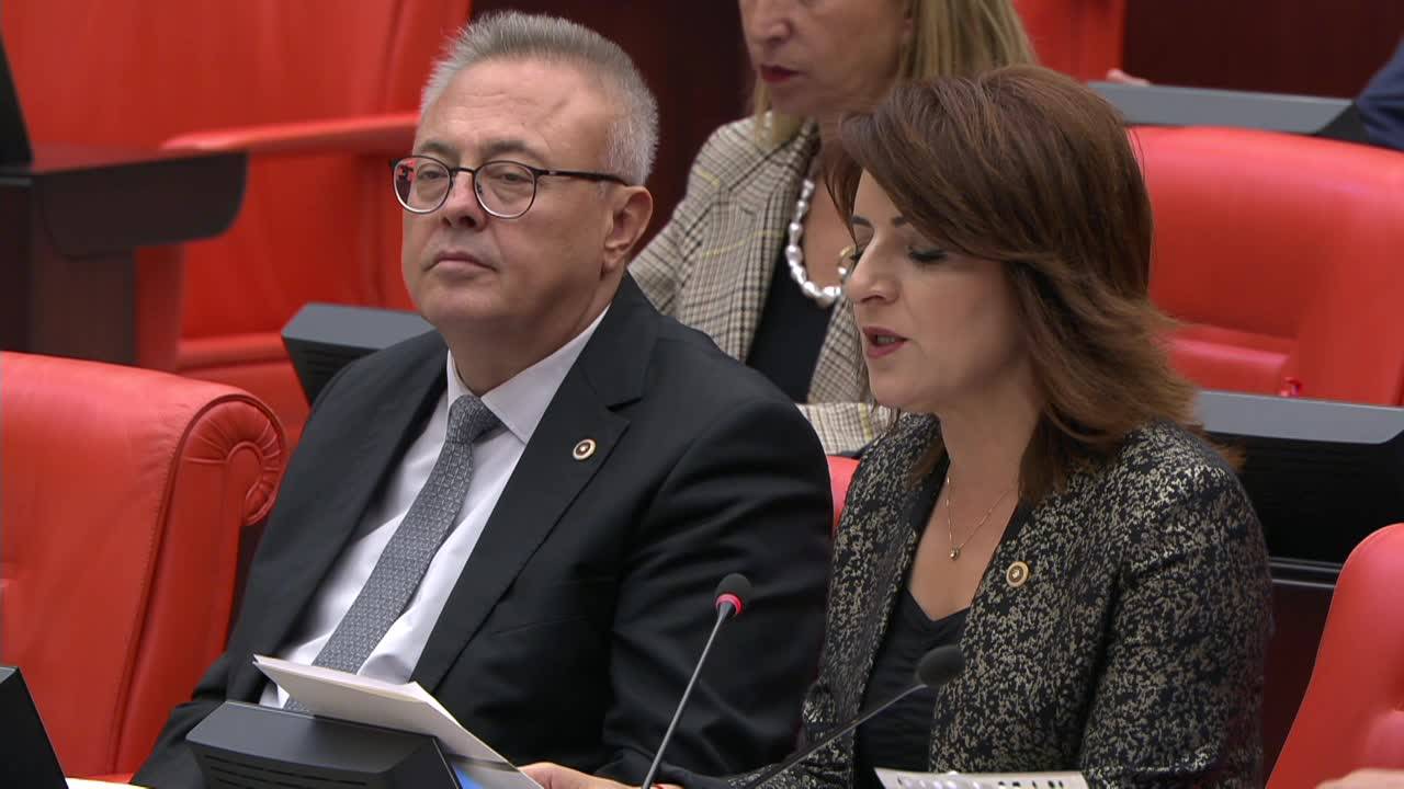 Gülcan Kış: "Ekonomik Krizin Derinleşmesiyle Milyonlarca Çocuk, Çocuk İşçiliğine Sürükleniyor"