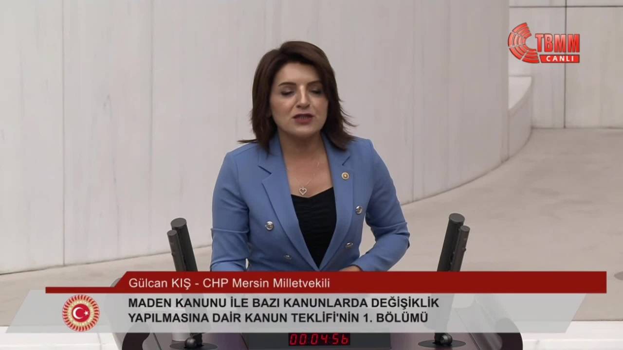 Gülcan Kış: "Ulusal Çıkarlarımıza Uygun, Yerli Ve Gerçekçi Bir Enerji Politikasına İhtiyacımız Var"