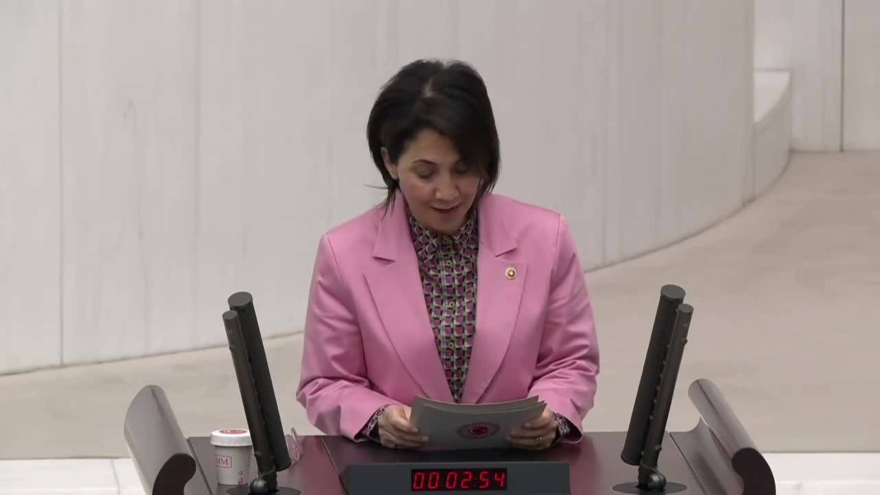 Aylin Yaman: "Asgari Ücretle Çalışma, Ülkenin Adeta Asgari Değil, Ortalama Ücreti Haline Getirilmiştir"