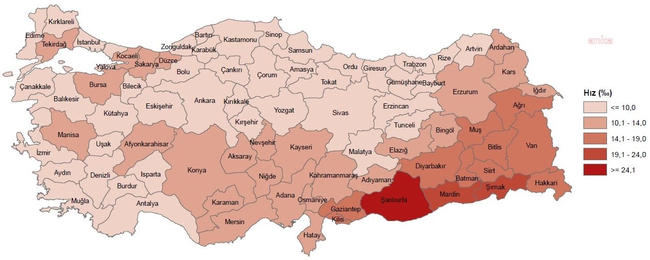 Türkiye'de Doğurganlık Hızı Son 22 Yılda 2,38 Çocuktan, 1.51 Çocuğa Düştü