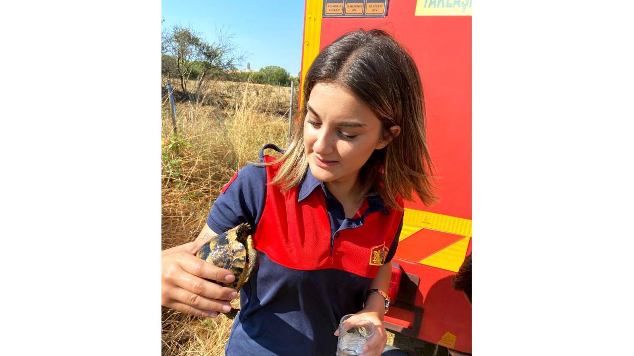 Alevlerin Arasında Kalan Kaplumbağa, Son Anda Kurtarıldı