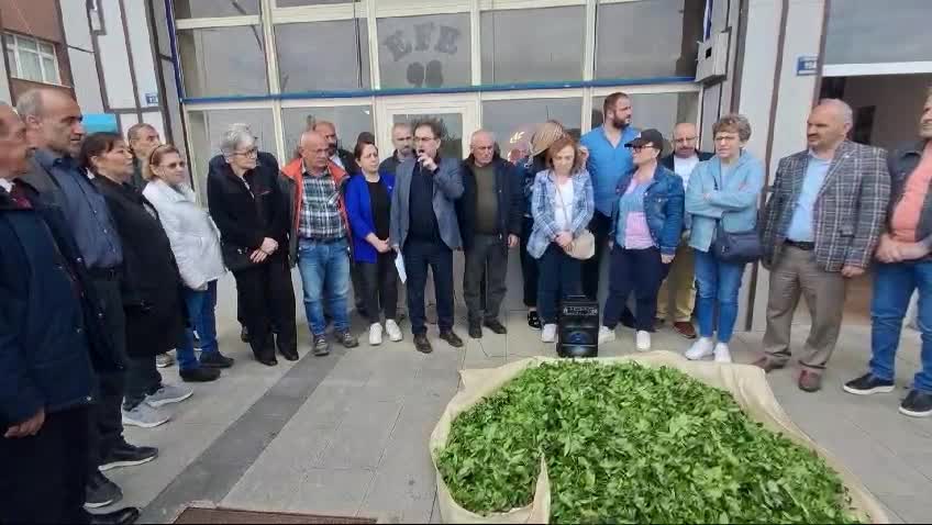 Yaş Çay Fiyatına Üreticilerin Tepkisinin Ardından Chp’den De Tepki...