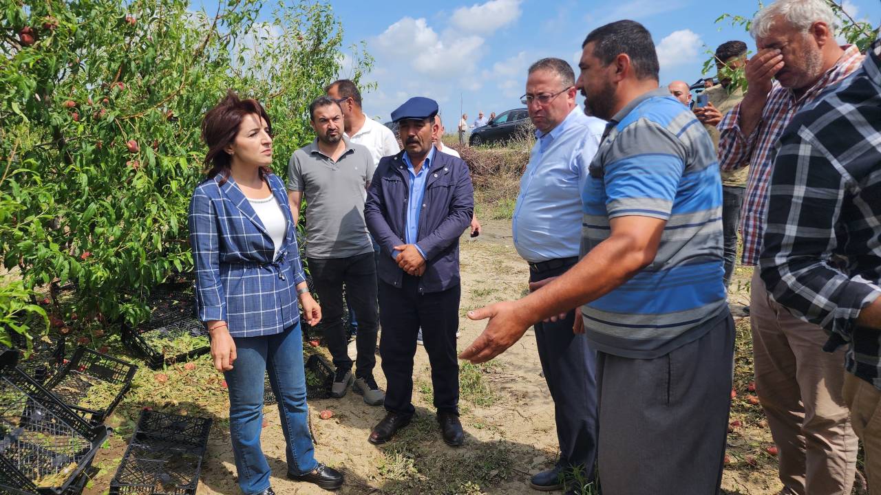 Gülcan Kış’tan Hükümete Çağrı: Afetten Zarar Gören Tarsuslu Çiftçilerin Zararı Bir An Önce Karşılansın