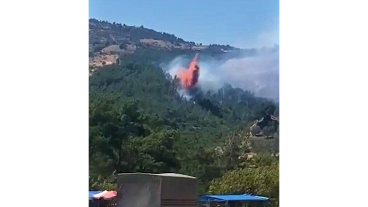 Havran'da Orman Yangını Büyümeden Söndürüldü