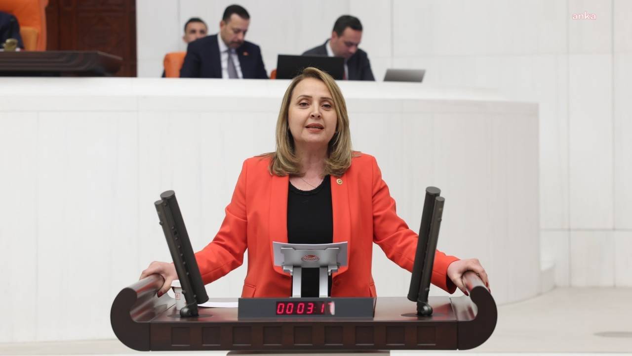 Semra Dinçer: İngiltere’nin Çöpü Ülkemize Doluyor. Atık İthalatı Yasaklansın