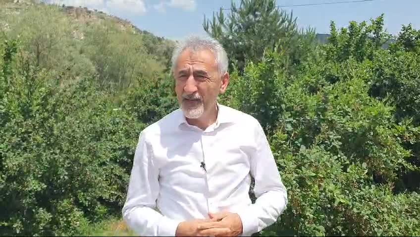 Mustafa Adıgüzel: "Erdoğan Diyor Ki Çocuk Yapın. 'Akıl Verme, Para Ver' Diyesim Geliyor"