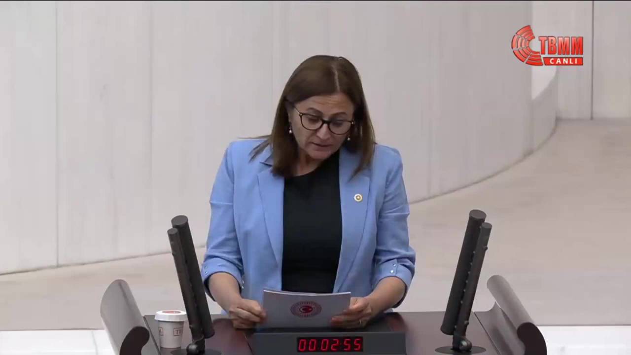 Türkan Elçi: Tahir Elçi Cinayeti Bu Ülkedeki Faili Meçhul Cinayetlerin Vesikasıdır