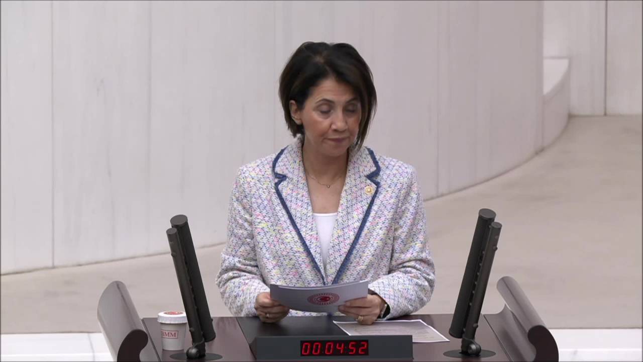 Aylin Yaman: "Sokak Hayvanları İle İlgili Alınacak Her Türlü Kararda 'Tek Sağlık' Bakışı Şarttır"