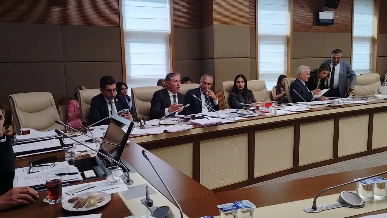 Murat Emir: “Devlet Teşvik Verecekse Hiç Olmazsa Yavruların Beslenmesi İçin Versin"