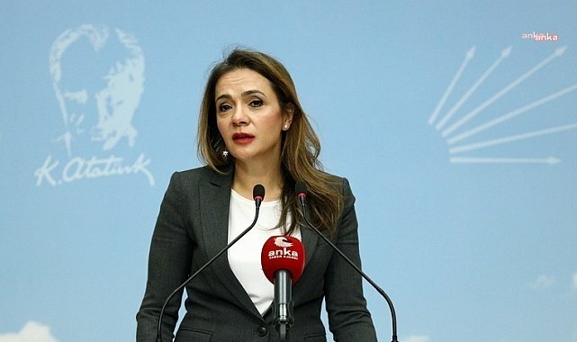 Gamze Akkuş İlgezdi: Tüik Başkanı, Halkımıza Masal Anlattığı Gibi Kendi De Bu Masallara İnanıyor