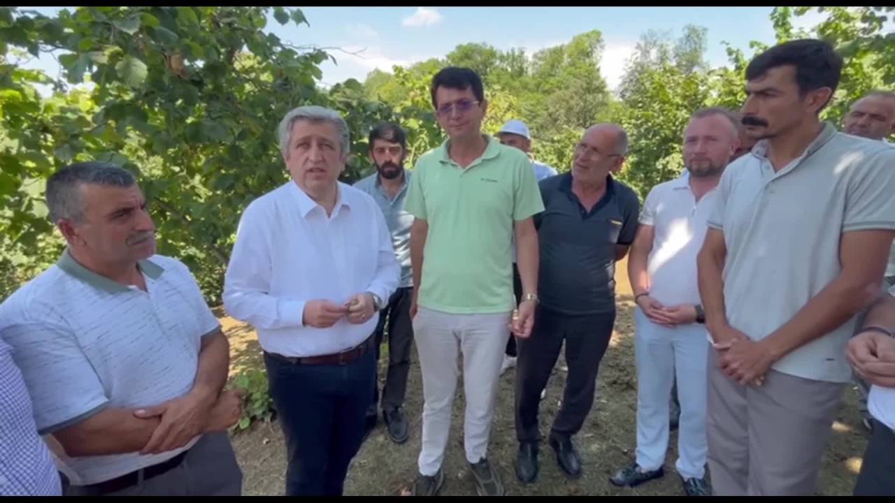 Chp Samsun Milletvekili Murat Çan, Fındık Üreticilerinin Sorunlarını Dinledi