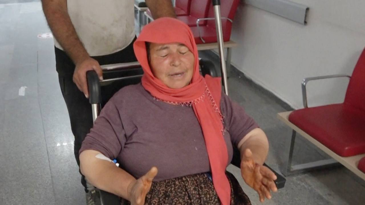 Köpeklerin Saldırısında Yaralanıp, Hastaneye Götürülürken Kaza Geçiren Kadın Taburcu Oldu