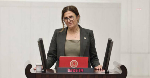 Türkan Elçi, Diyarbakır’da İşletmelere Yönelik Düzenlenen Saldırıları Tbmm'ye Taşıdı