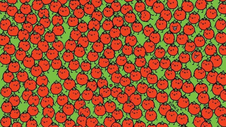 Seviyenizi ölçecek ilginç bir IQ testi; Zeki olan domateslerin arasındaki 3 çiçeği buluyor