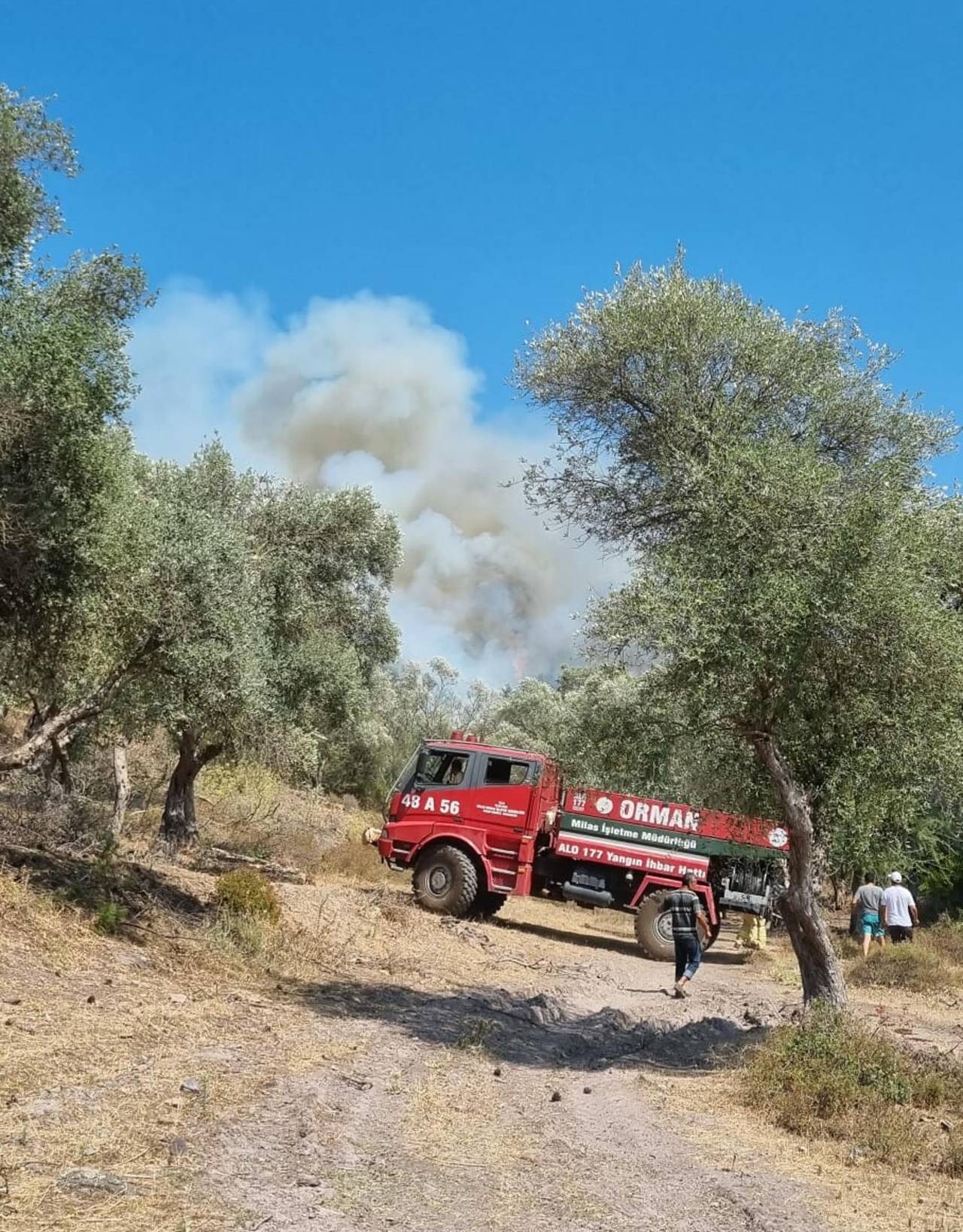 Bodrum'da Orman Ve Makilik Yangını (1)