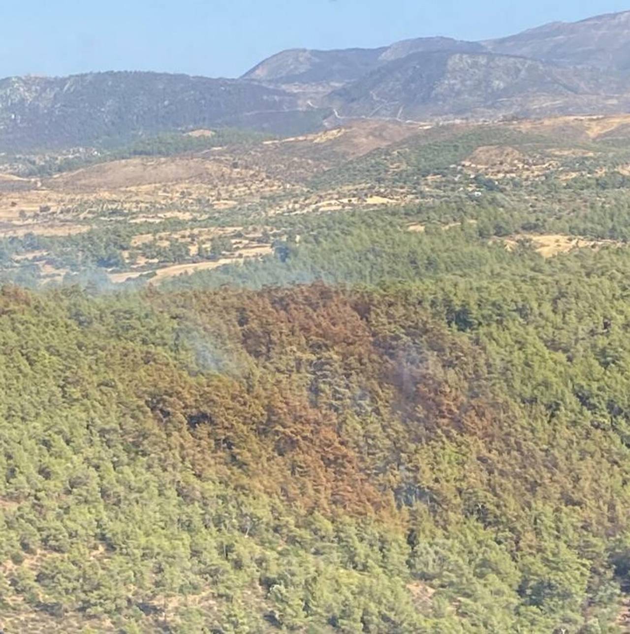 Bodrum'da Orman Ve Makilik Yangını (2)