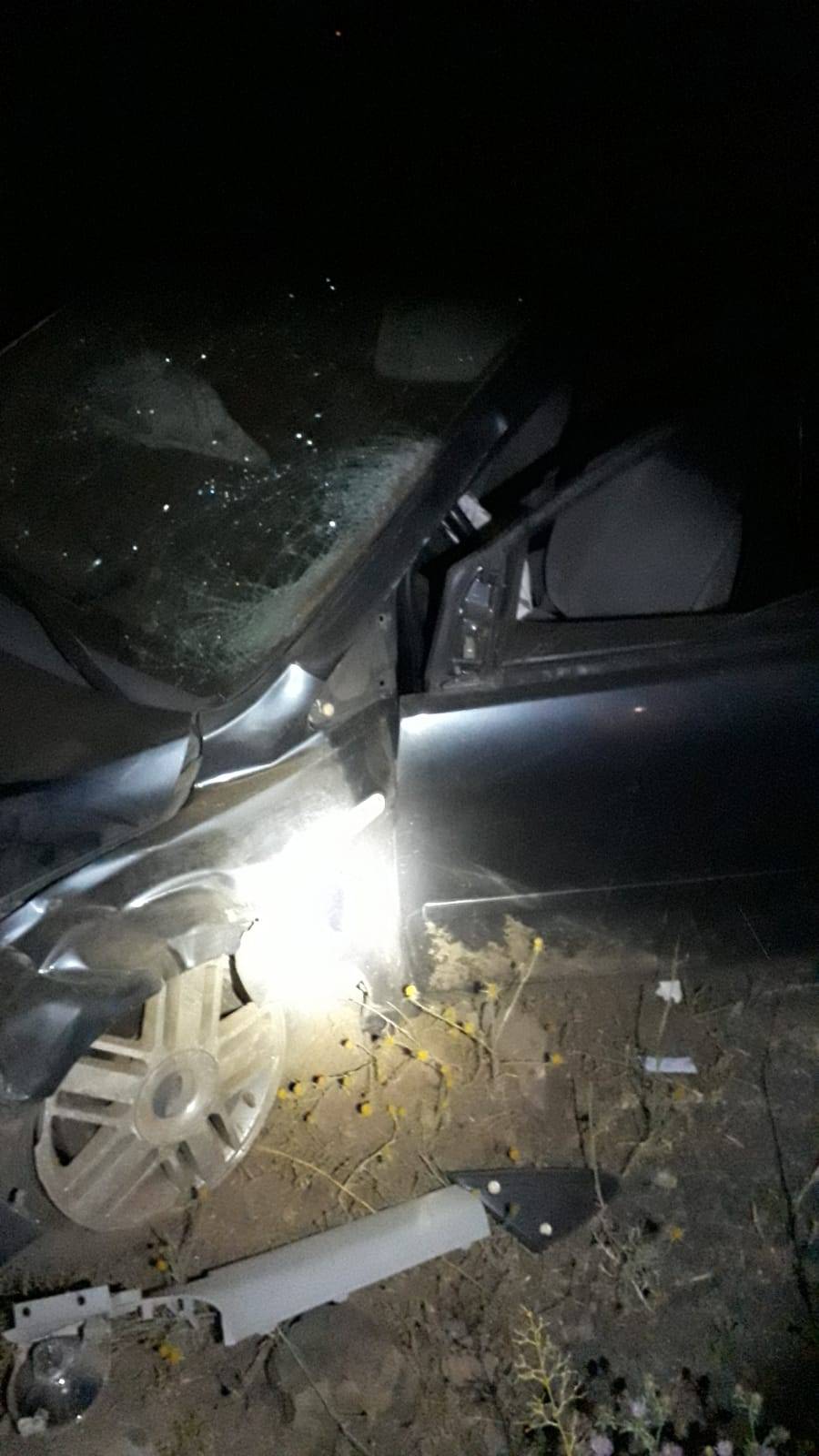 Bingöl'de Otomobil Çarpan İnek Öldü, Araçtaki 7 Kişi Yaralandı