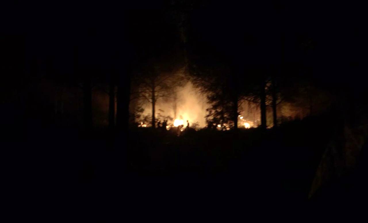 Datça'da Orman Yangını; Sigara İzmaritinden Çıkmış