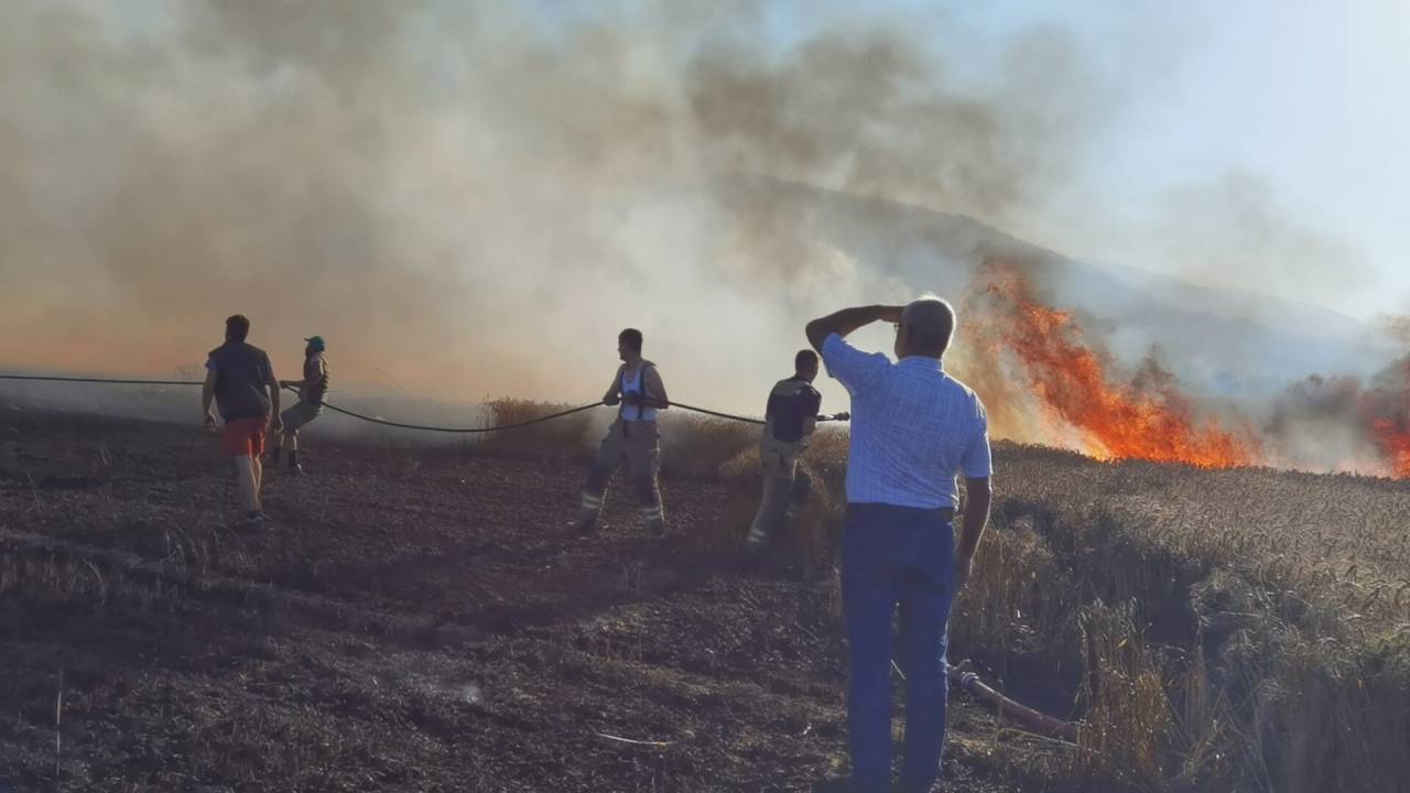 İnegöl'de Buğday Tarlasında Yangın; 40 Dönüm Ekili Alan Yandı