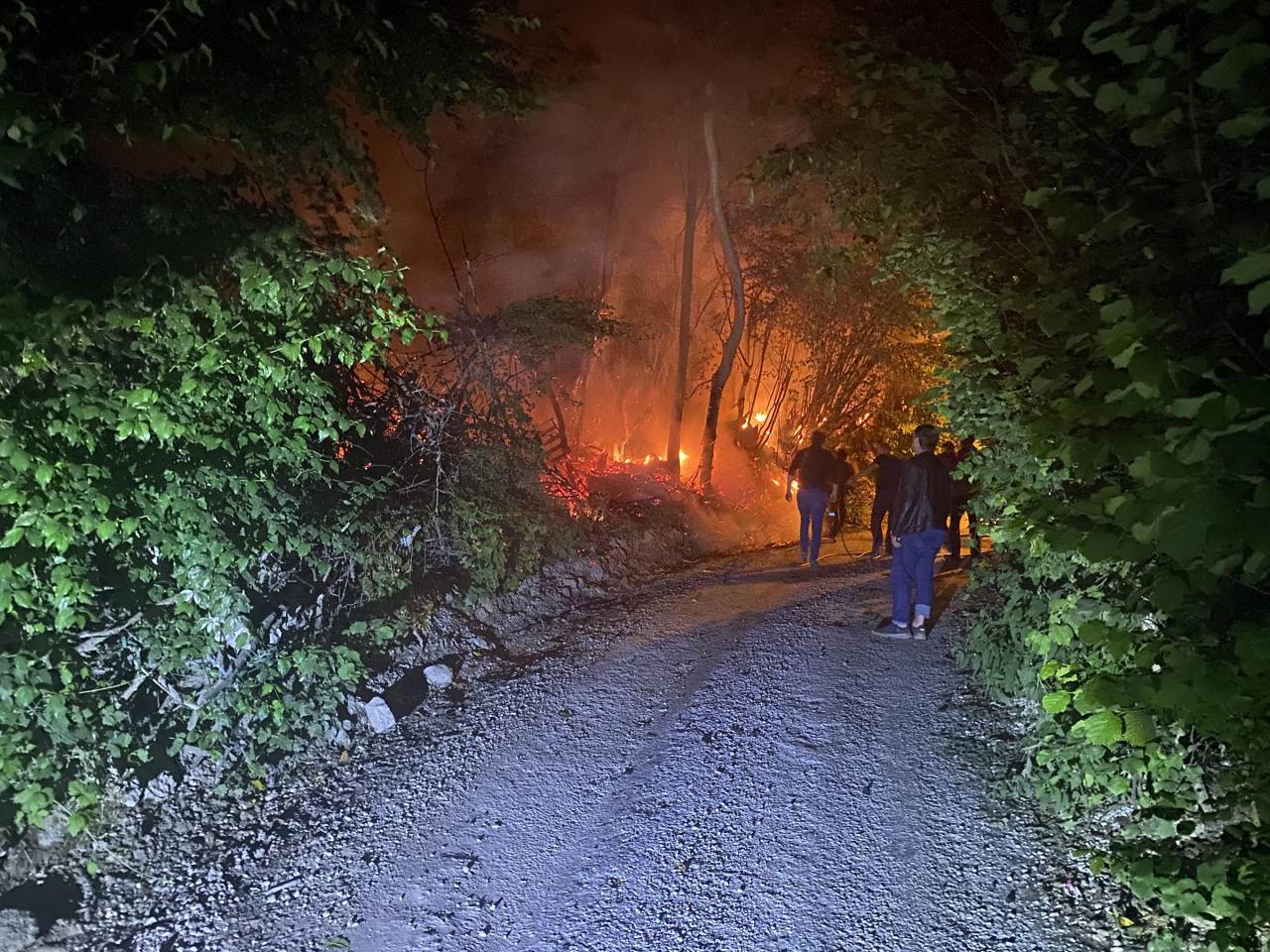 Kütahya'da Orman Yangınına İlk Müdahaleyi Devriyedeki Polis Ve Bekçiler Yaptı