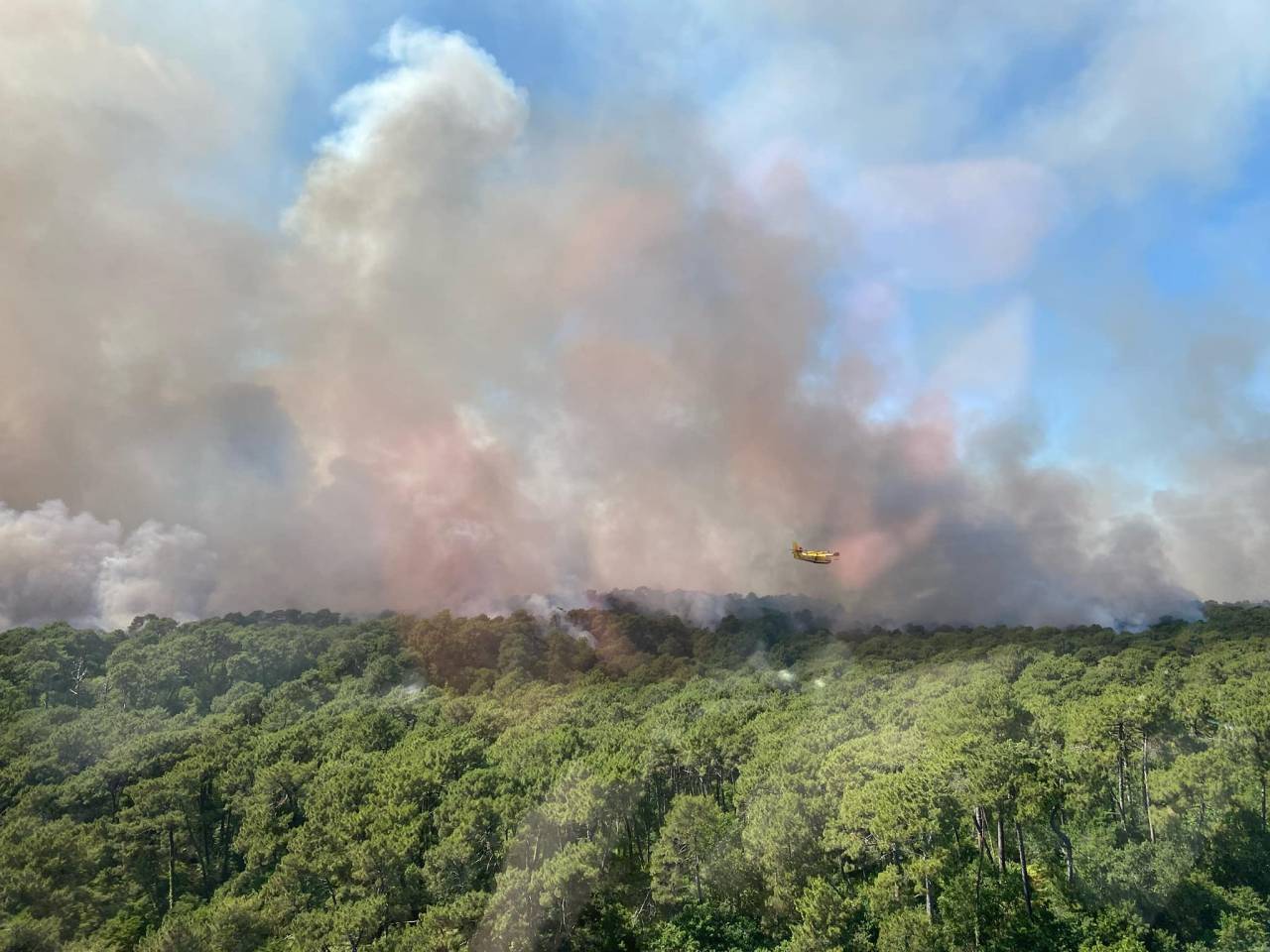 Fransa, İspanya Ve Portekiz’de Orman Yangınları Sürüyor