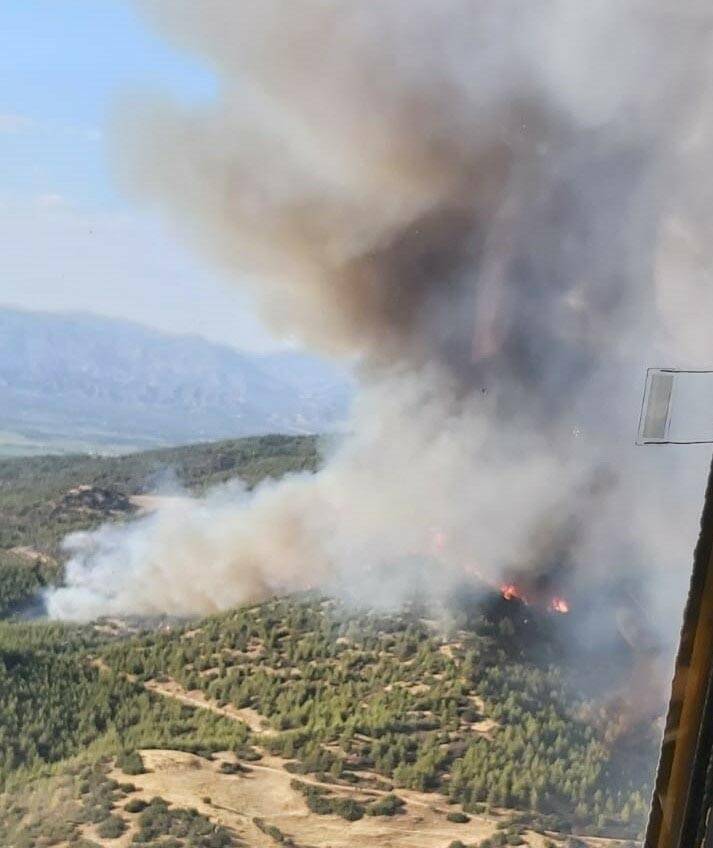Aydın'daki Orman Yangınında 30 Hektarlık Alan Zarar Gördü