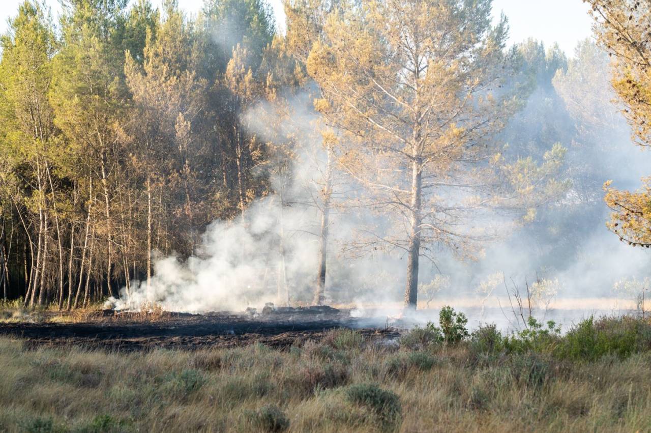 Fransa Ve İspanya’da Orman Yangınlarıyla Mücadele Devam Ediyor