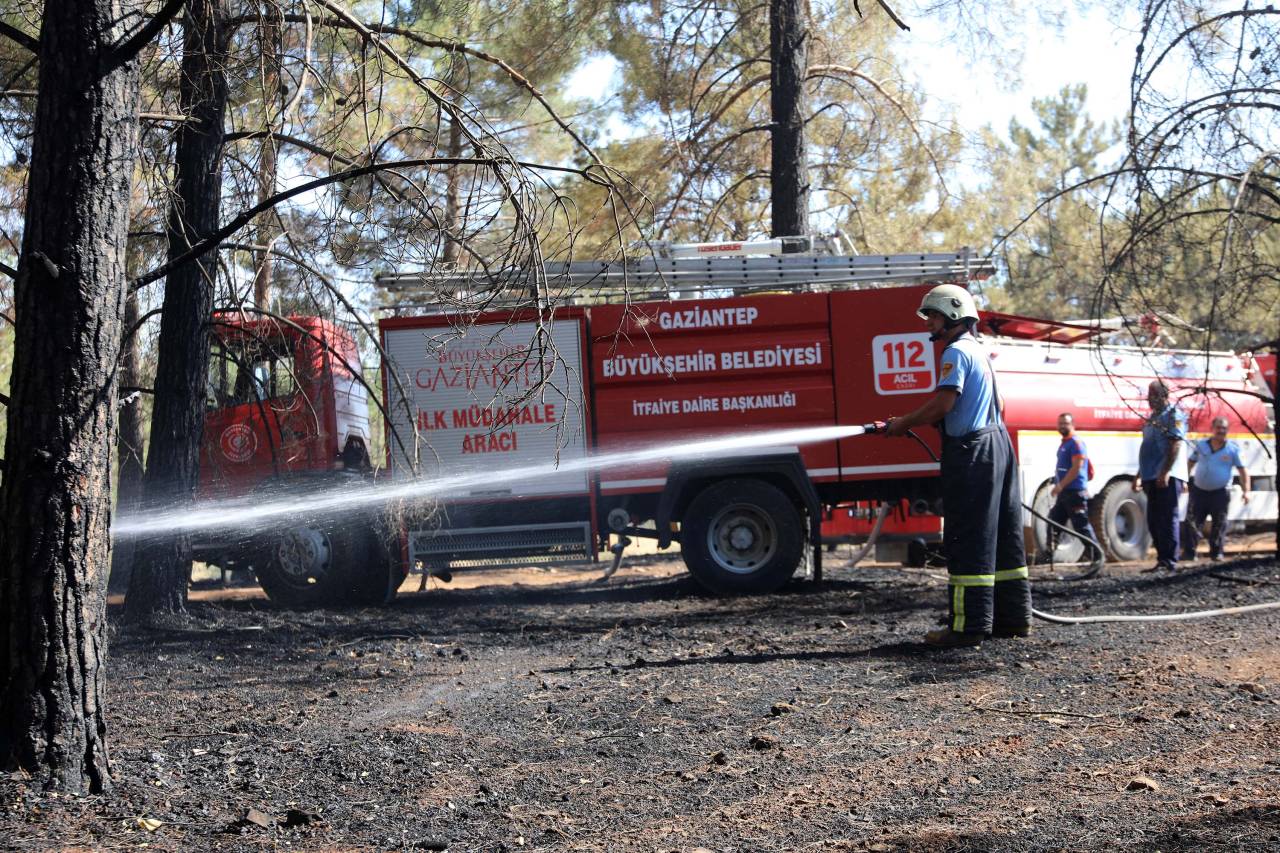 Gaziantep'te Orman Yangını (3)